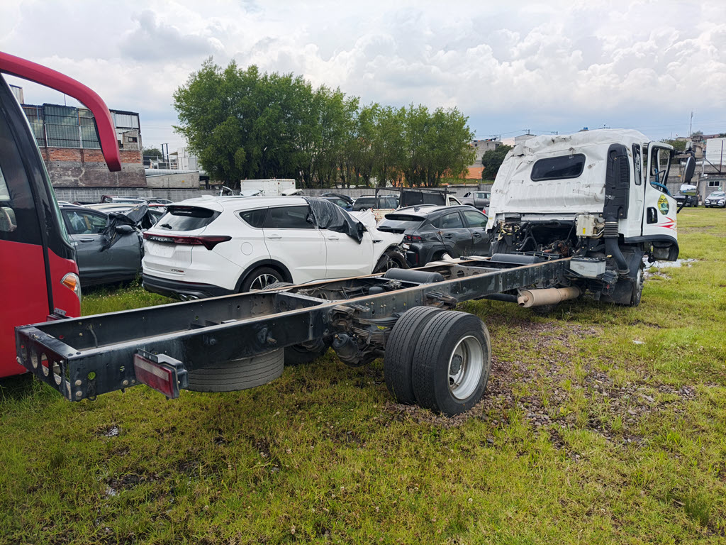 Miniatura 6