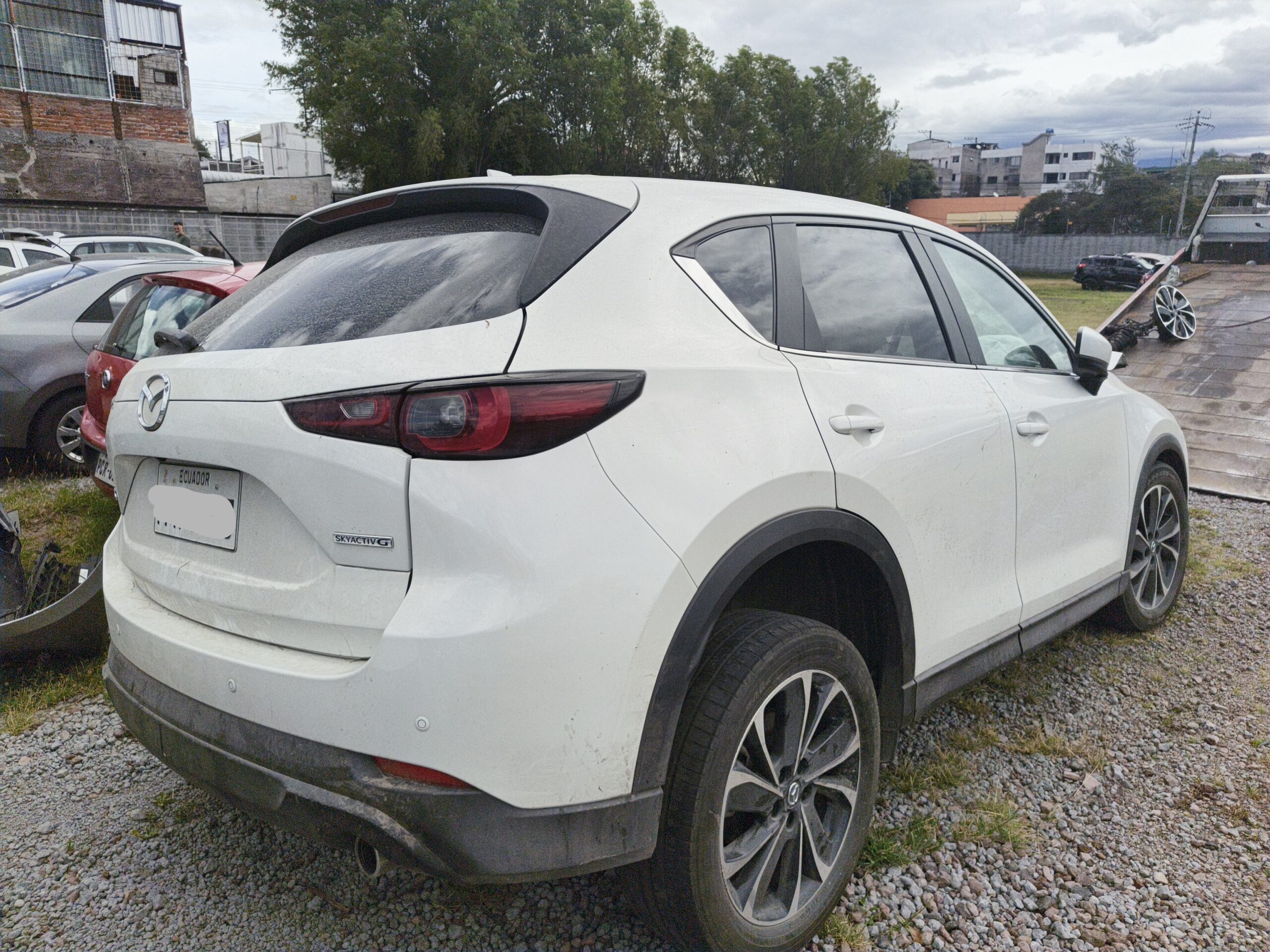 Miniatura 4